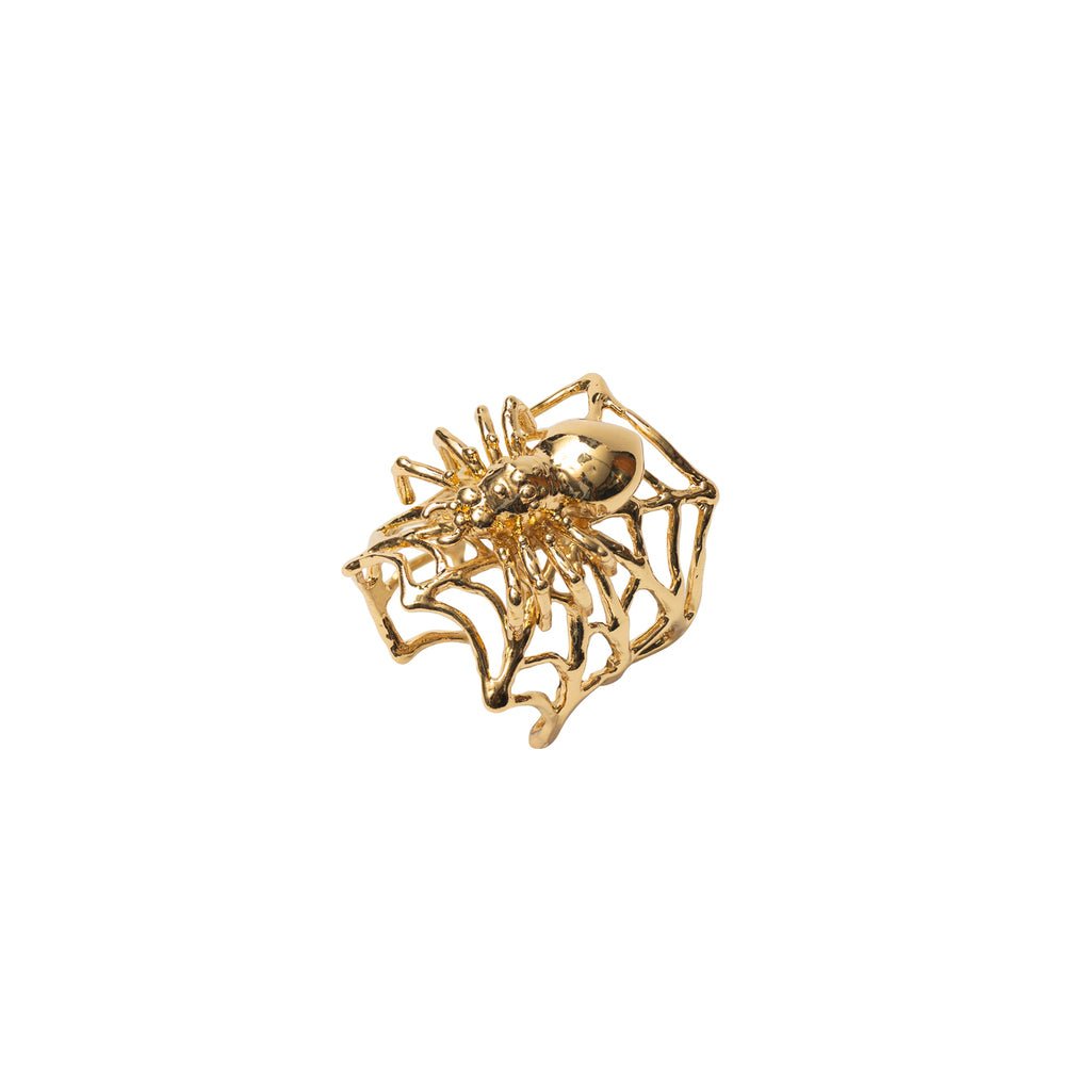 Bronze web ring with spider - Bernard Delettrez | rings