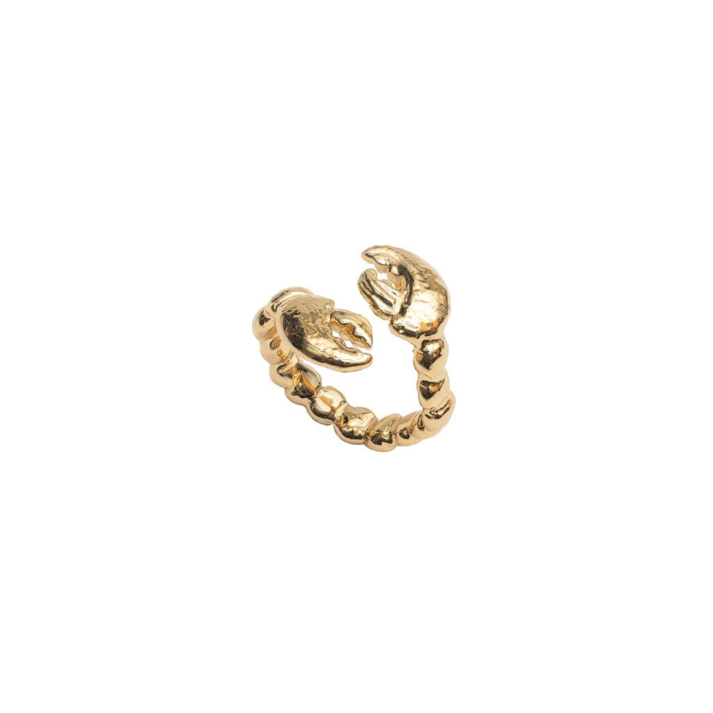 Crab claws bronze contrarié ring - Bernard Delettrez | rings